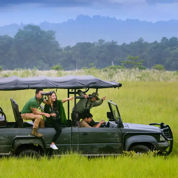 The Four City Tour in Nepal - Nepal