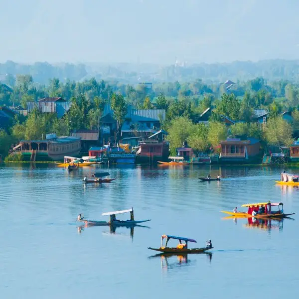 Aerial view of Dal Lake, Srinagar Jammu and Kashmir, India