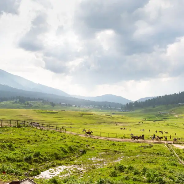 Beautiful Mountain Landscape of Gulmarg Jammu and Kashmir India.