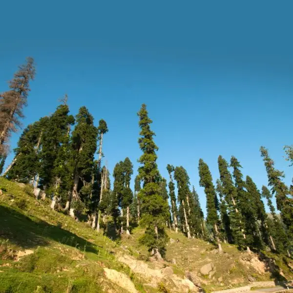 Beautiful mountain landscape of Jammu and Kashmir state, India