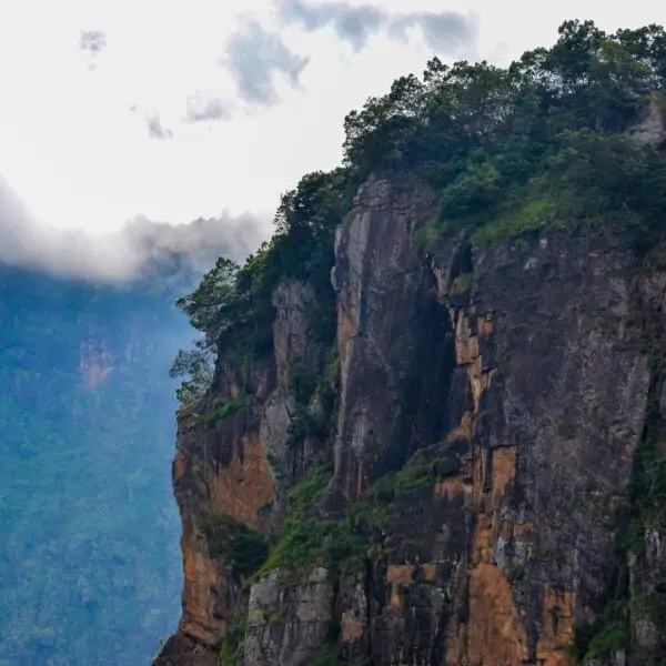 Enchanting South India Getaway - India