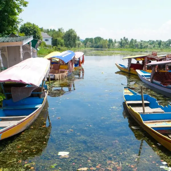 Beautiful view of Srinagar, the capital of Kashmir, India on the banks of the Jhelum River