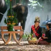 Farmer and Elephant at rice field against sunrise in Thailand.