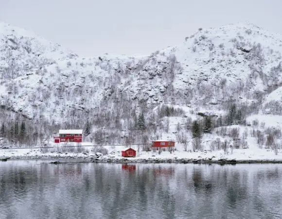 Enchanting Hill Retreat: Amritsar and Shimla - India