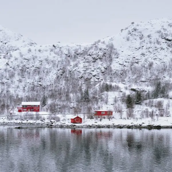 Enchanting Hill Retreat: Amritsar and Shimla - India