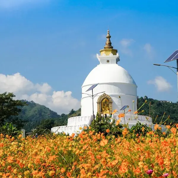 The Four City Tour in Nepal - Nepal