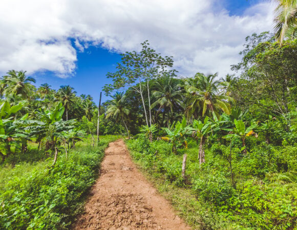 Hidden Paradises