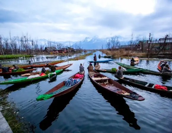 Majestic Kashmir & Delhi: A Journey through Nature and Heritage - India