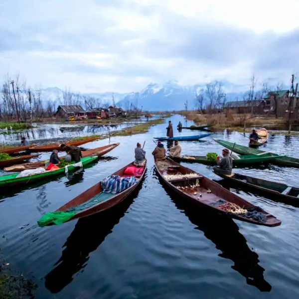 Majestic Kashmir & Delhi: A Journey through Nature and Heritage - India