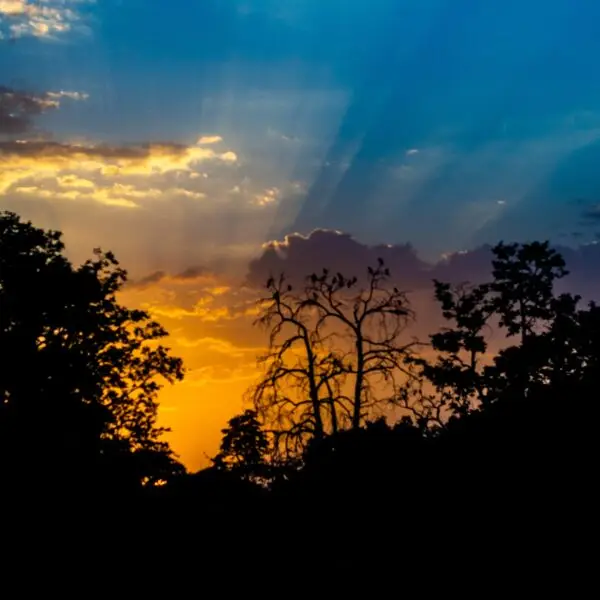 Nice sunset in Jaipur, India