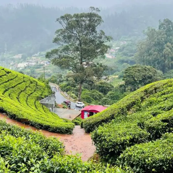 Enchanting South India Getaway - India