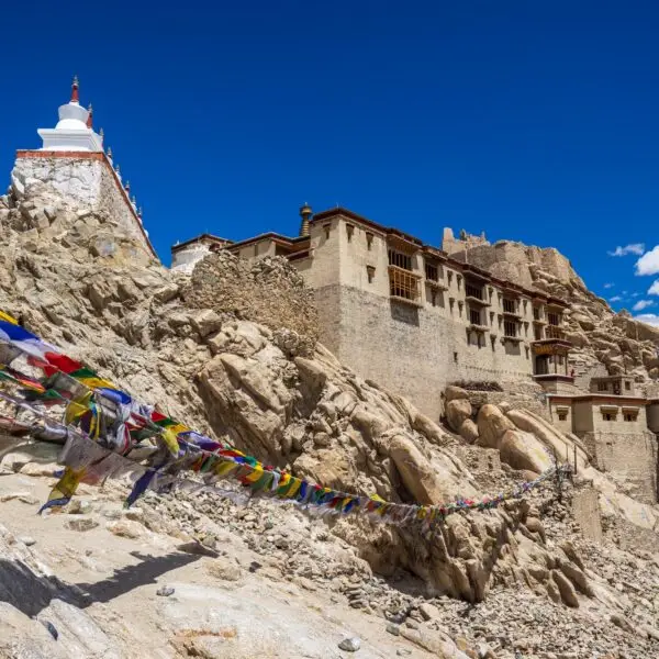 Enchanting Kashmir and Historic Delhi: A Serene Sojourn - India