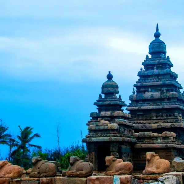 South India's Temple Trails & Cultural Tapestry - India