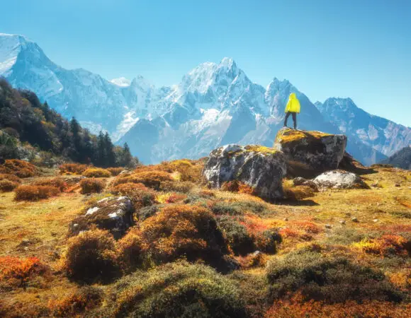 Golden Gateway and Himalayan Escapade - India