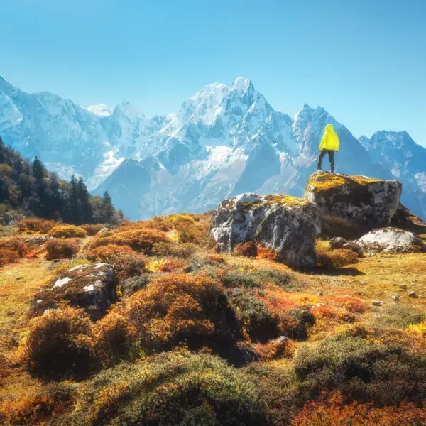 Golden Gateway and Himalayan Escapade - India