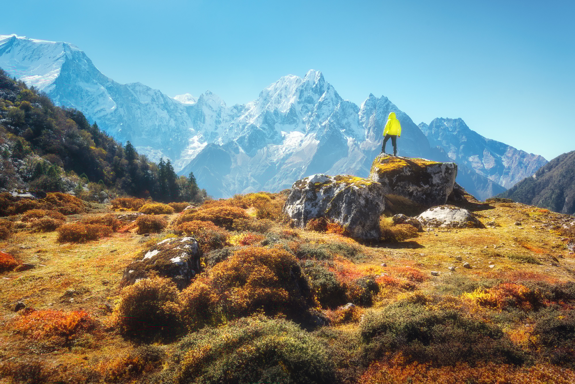 Golden Gateway and Himalayan Escapade - India