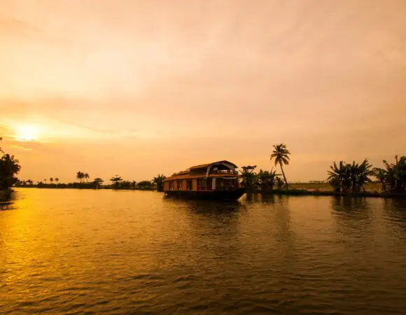 A Scenic Journey Through Nature, Wildlife, and Backwaters - India