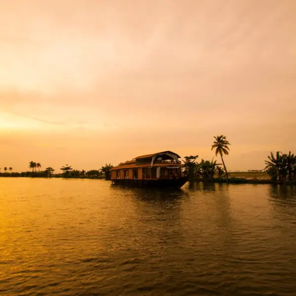 A Scenic Journey Through Nature, Wildlife, and Backwaters - India