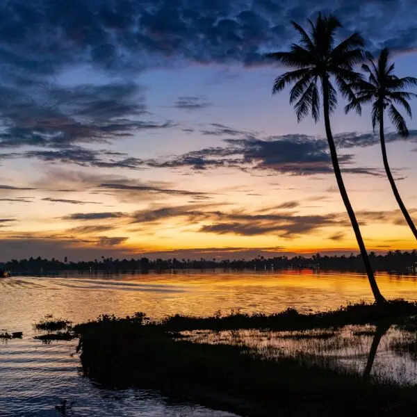 Sunset in the Kerala backwaters - India