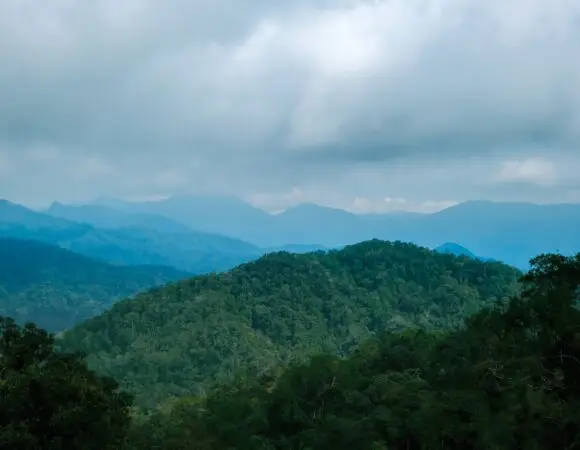 Cool Malaysia - Pahang