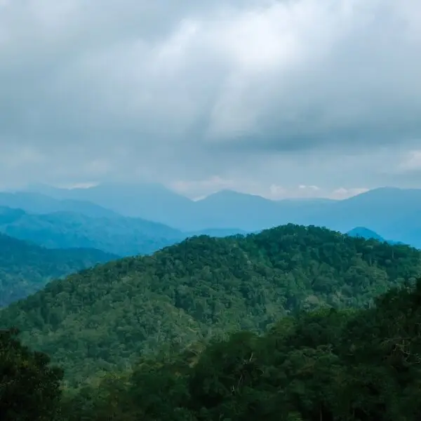 Cool Malaysia - Pahang