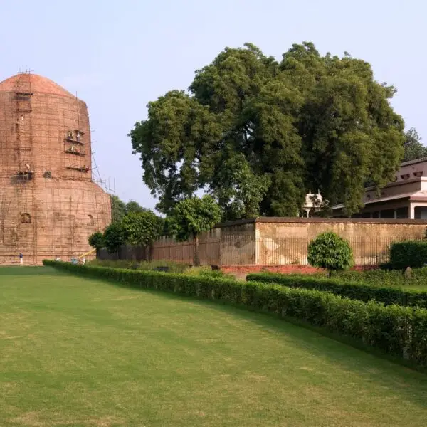 The Dhamekh Stupa in Sarnath near Varanasi in the Uttar Pradesh region of India